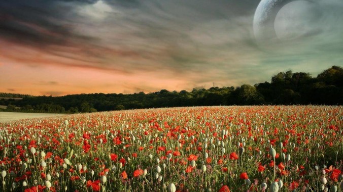 为什么要学go语言，golang的优势有哪些？